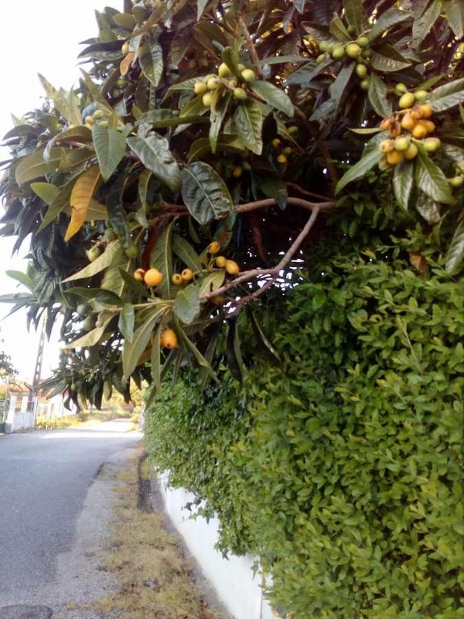 Casa Da Nespereira- Lugar Acolhedor Rodeado De Natureza Soure Екстер'єр фото